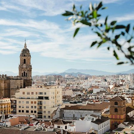 Homely Malaga Cienfuegos, Plaza De La Merced Con Vistas Екстериор снимка