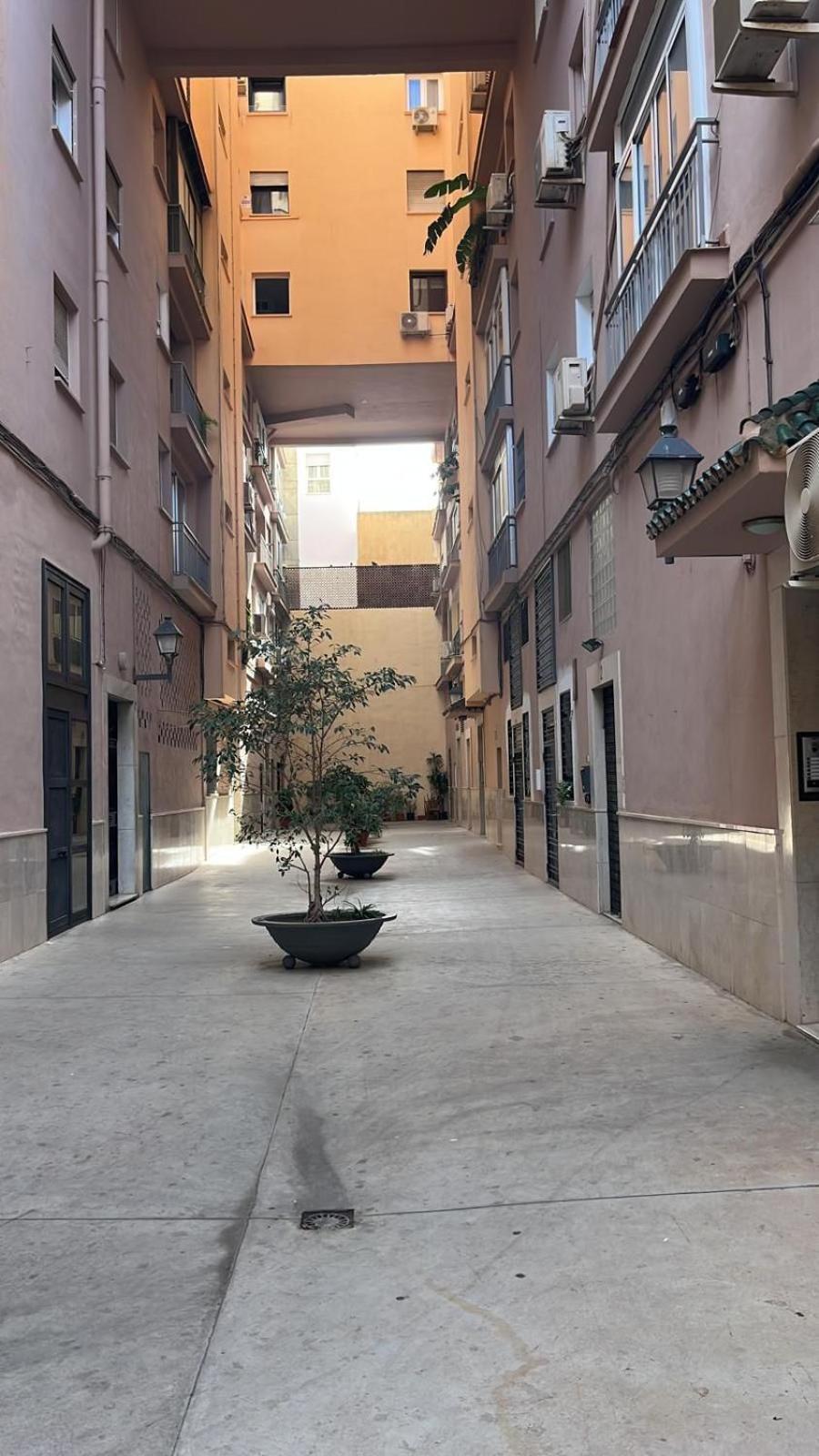 Homely Malaga Cienfuegos, Plaza De La Merced Con Vistas Екстериор снимка